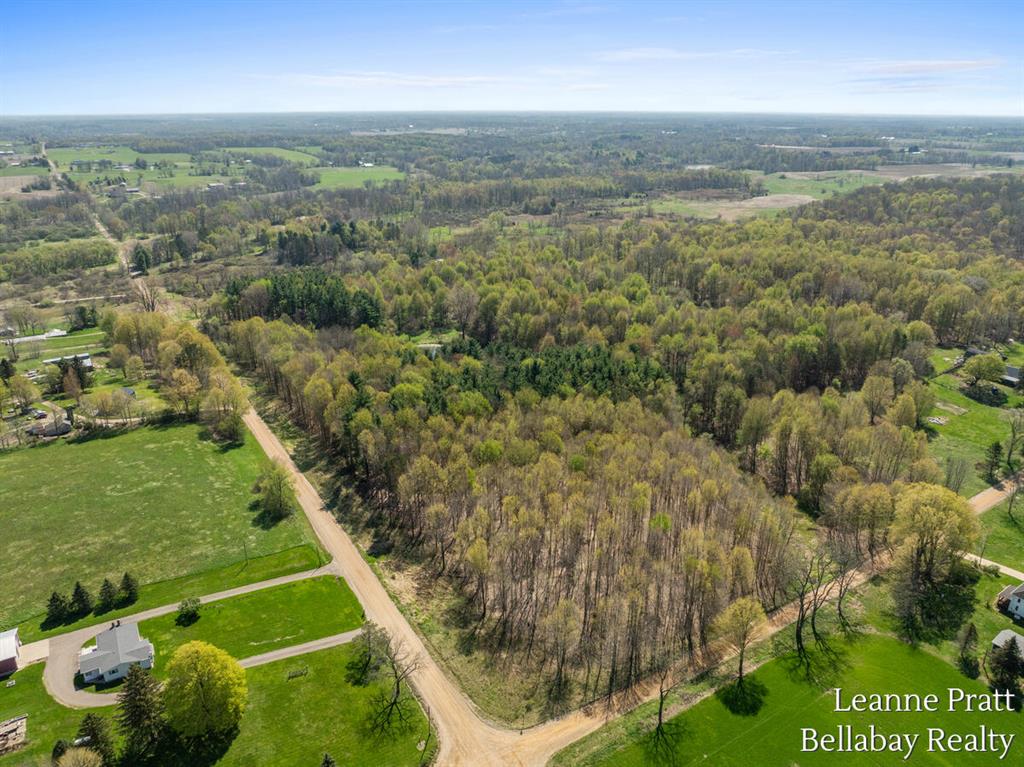 Discover the perfect blend of privacy and possibility with this stunning 22.43-acre parcel of wooded land. Featuring a serene pond nestled within the trees, this property offers a peaceful natural setting. Whether you're dreaming of building your future home, creating a private getaway, or enjoying recreational activities like hunting and hiking, this land is ready for you to make it your own.Located in Eaton County near Vermontville, and within the desirable Maple Valley School District, this property combines the beauty of nature with a convenient location. Opportunities like this don't come around often--explore the potential and start planning your vision today! Current use is Recreational.