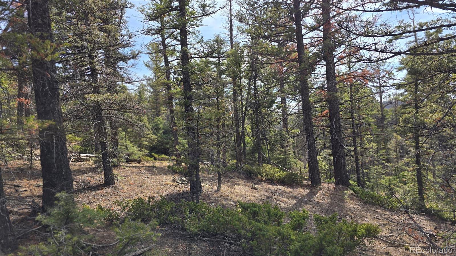 Lot 6070 Vreeland Road