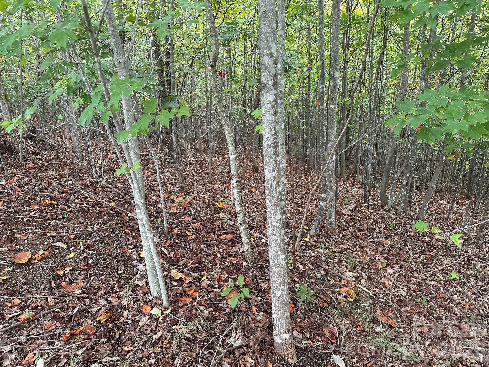 311 Scenic Vista Drive 254