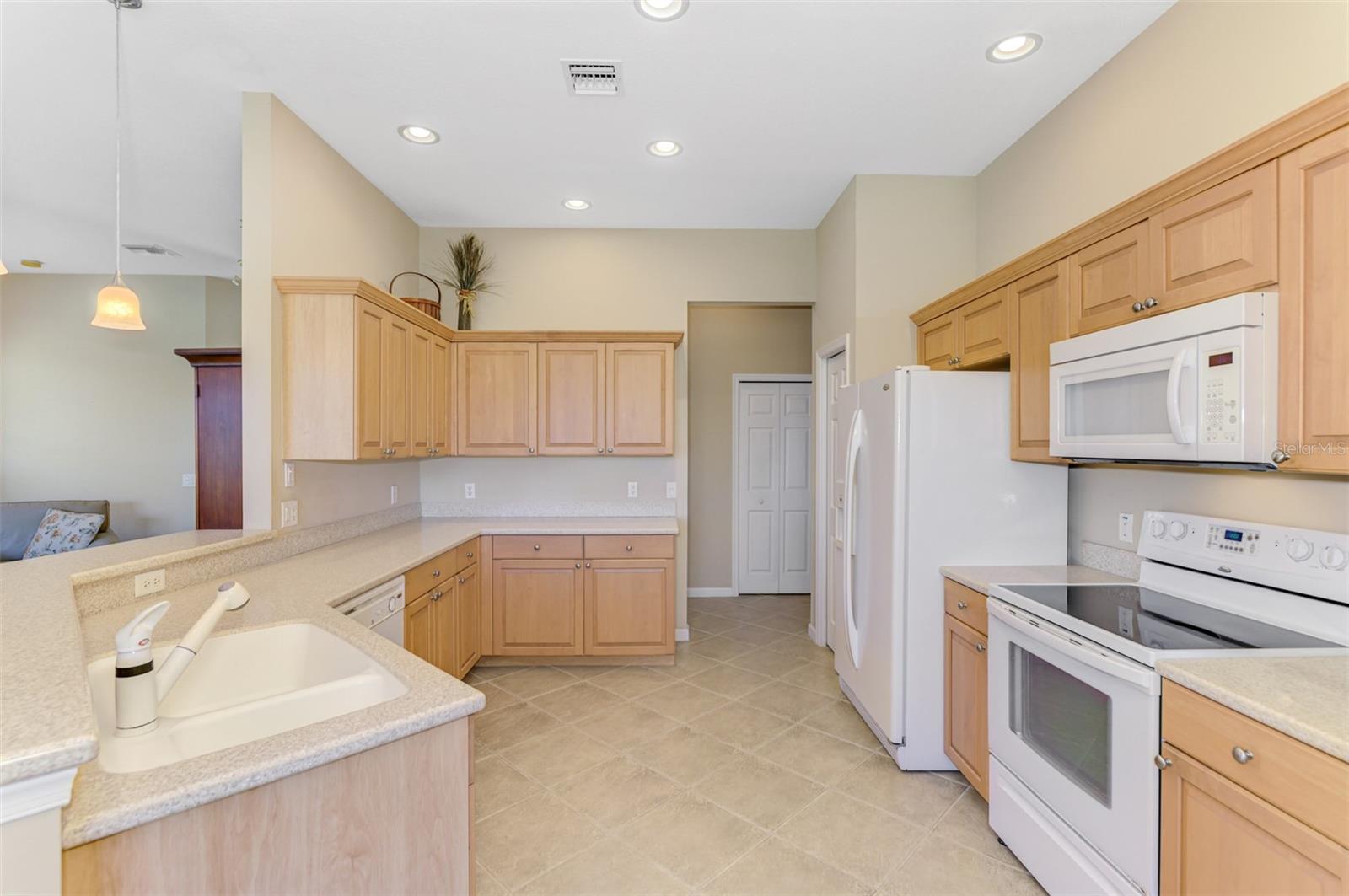 2625 Wax Myrtle