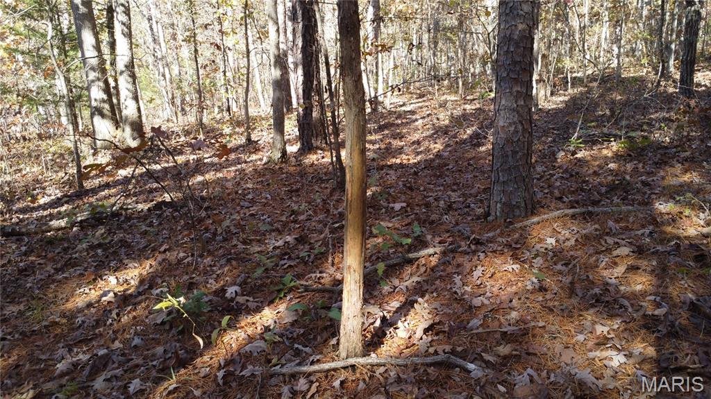 10256 Christina Trail