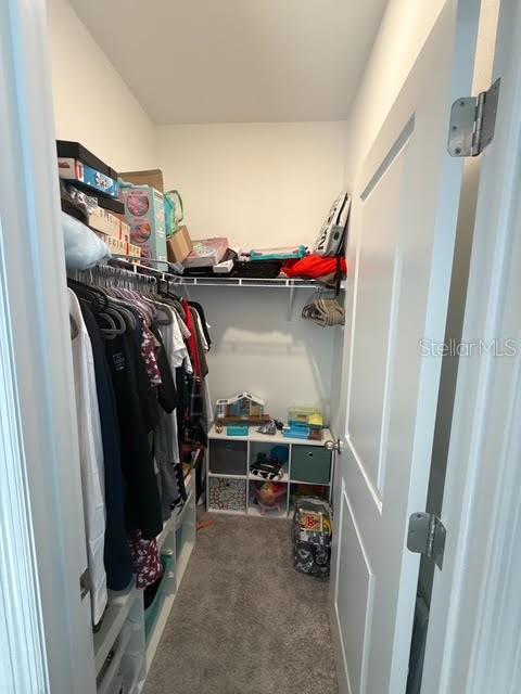 10607 Ladybug Cove