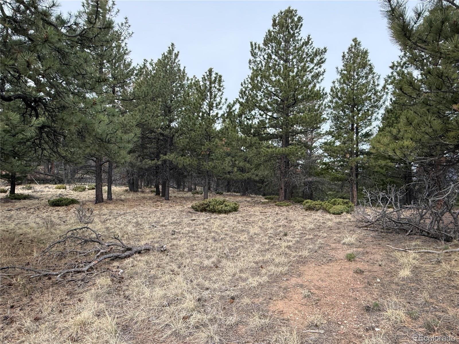 Lot 152 Tahmoush Lane