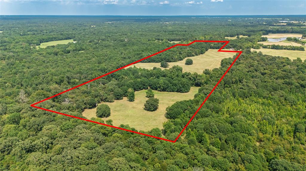 Beautiful views are found on this Ag-Exempt 43.5 acres! Enjoy the wildlife, wooded setting, and rolling land where lots of deer roam--a perfect place for hunting. The property also includes some open pasture and a pond for raising cattle or other animals. Surrounded by large ranches, you'll have plenty of privacy from neighbors. A scenic drive brings you to this idyllic acreage that provides plenty of spots for building a new home. And with no known restrictions, you also have the option for a tiny home, a manufactured home, RV, or use as a camping site. You have lots of possibilities whether you keep it as raw land or turn it into a country homestead!