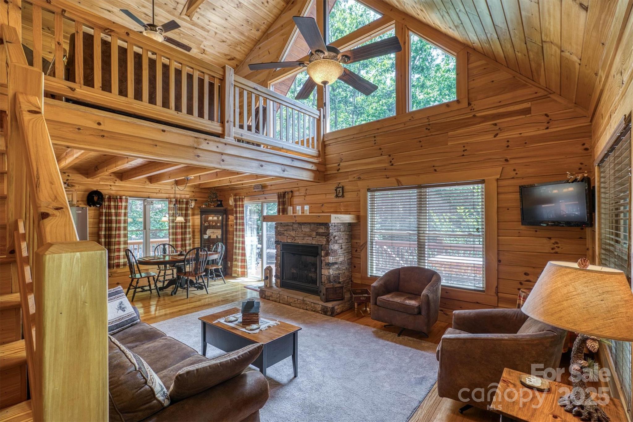203 Mountain Vista Drive