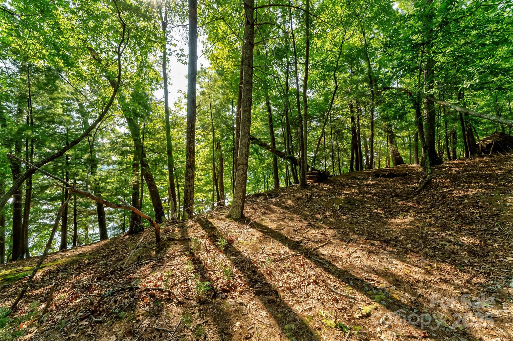167 Cabin Bluff Drive 5&6
