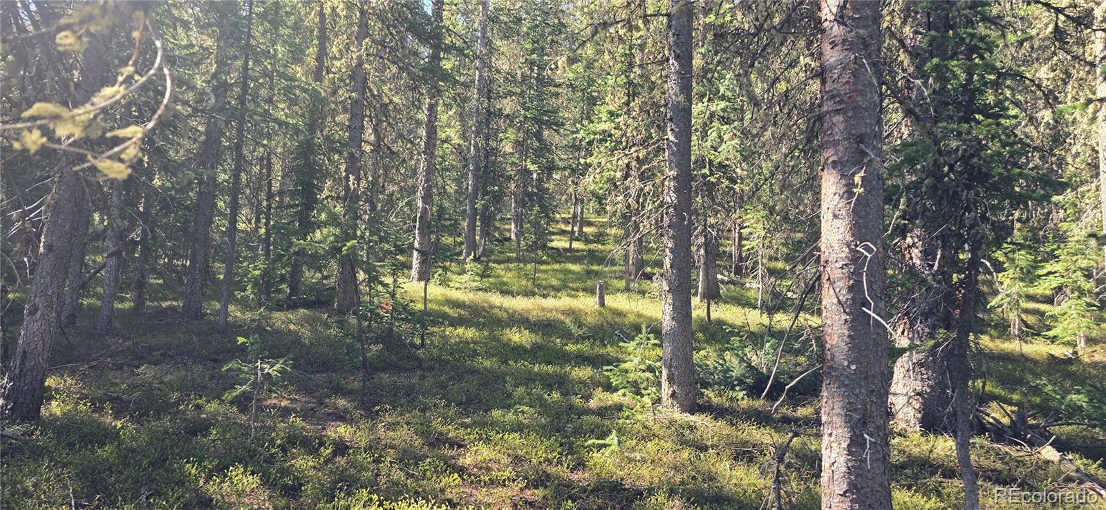 Lot 6515 Doyle Road