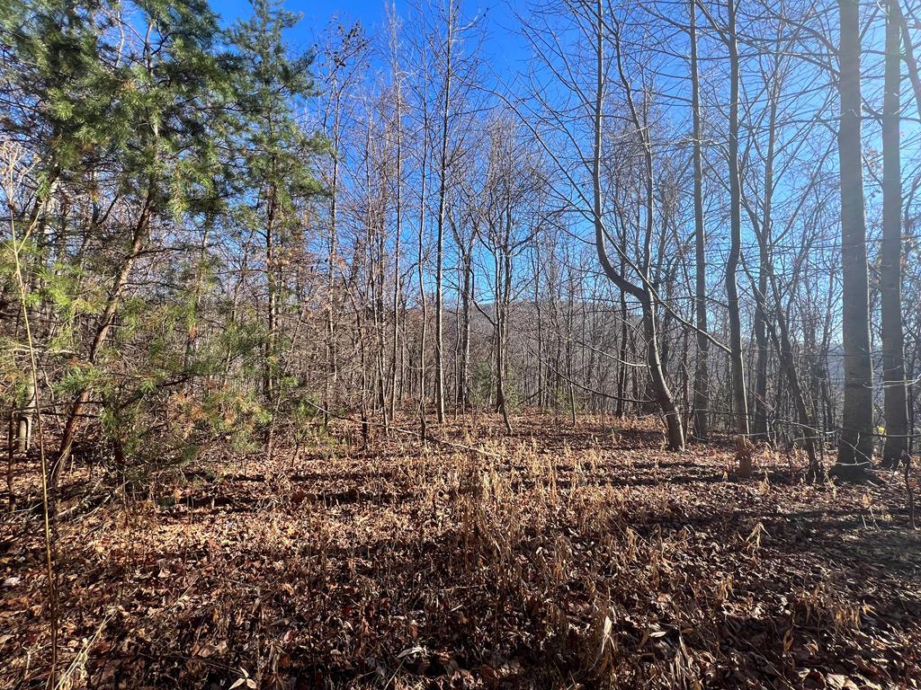 Southern views from the land. Streams, rolling, hilly, steep and some building sites. AEP lines on edge of acreage.  Elevations approximately 2,500 ft.  Young timber, wildlife.  Build, hunt, hike or camp.  There are homes along Rocky  Ford but there is not any known recorded right of way. Large, undeveloped parcels join this tract and should make it a private,, rural location.