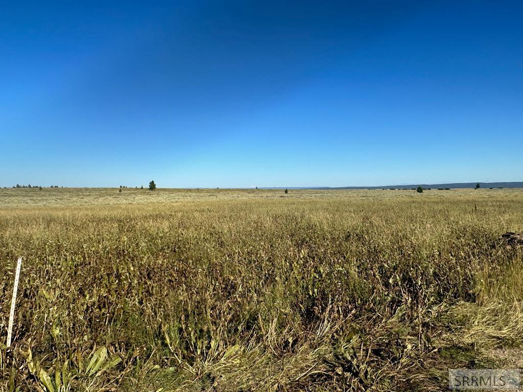 4023 Brooks Blaze Lane Rainbow Realty