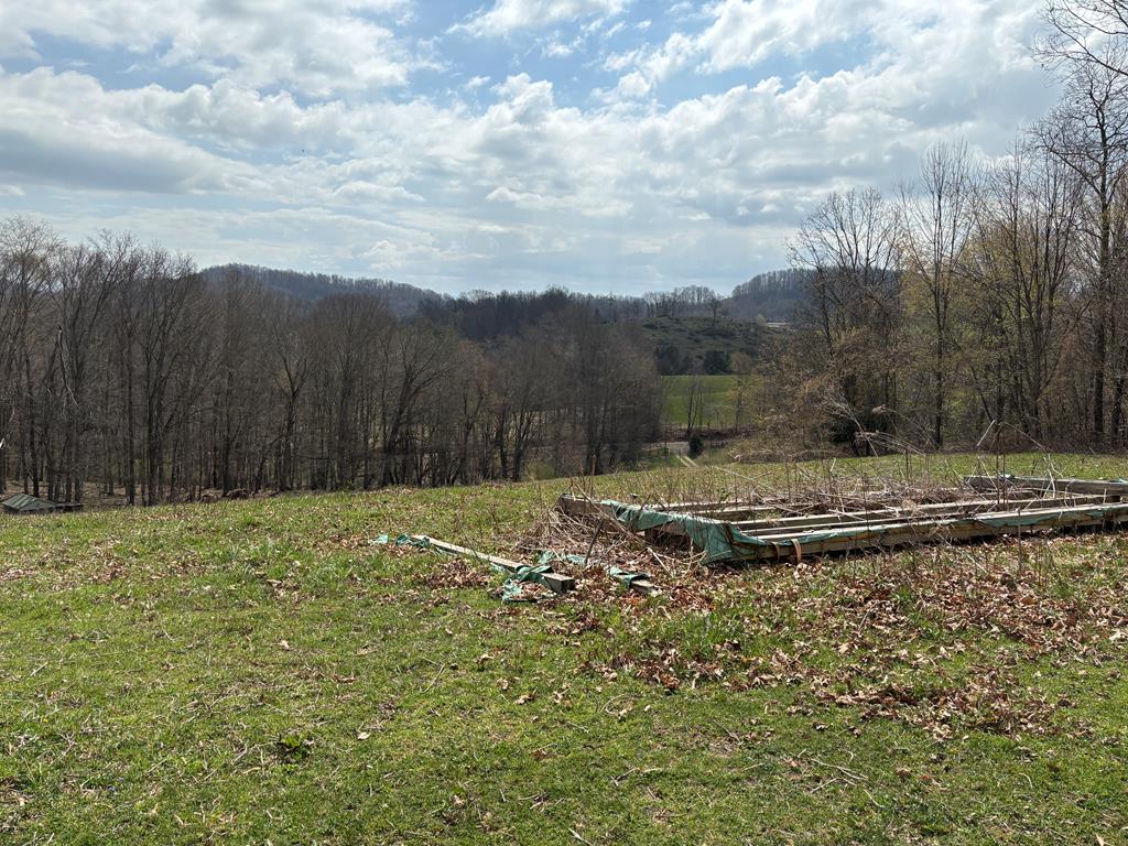 Property has a nice view of the mtns.  with 5.53 ac+/-. Ideal for your Dream home. Bring your horses or cattle and come on.