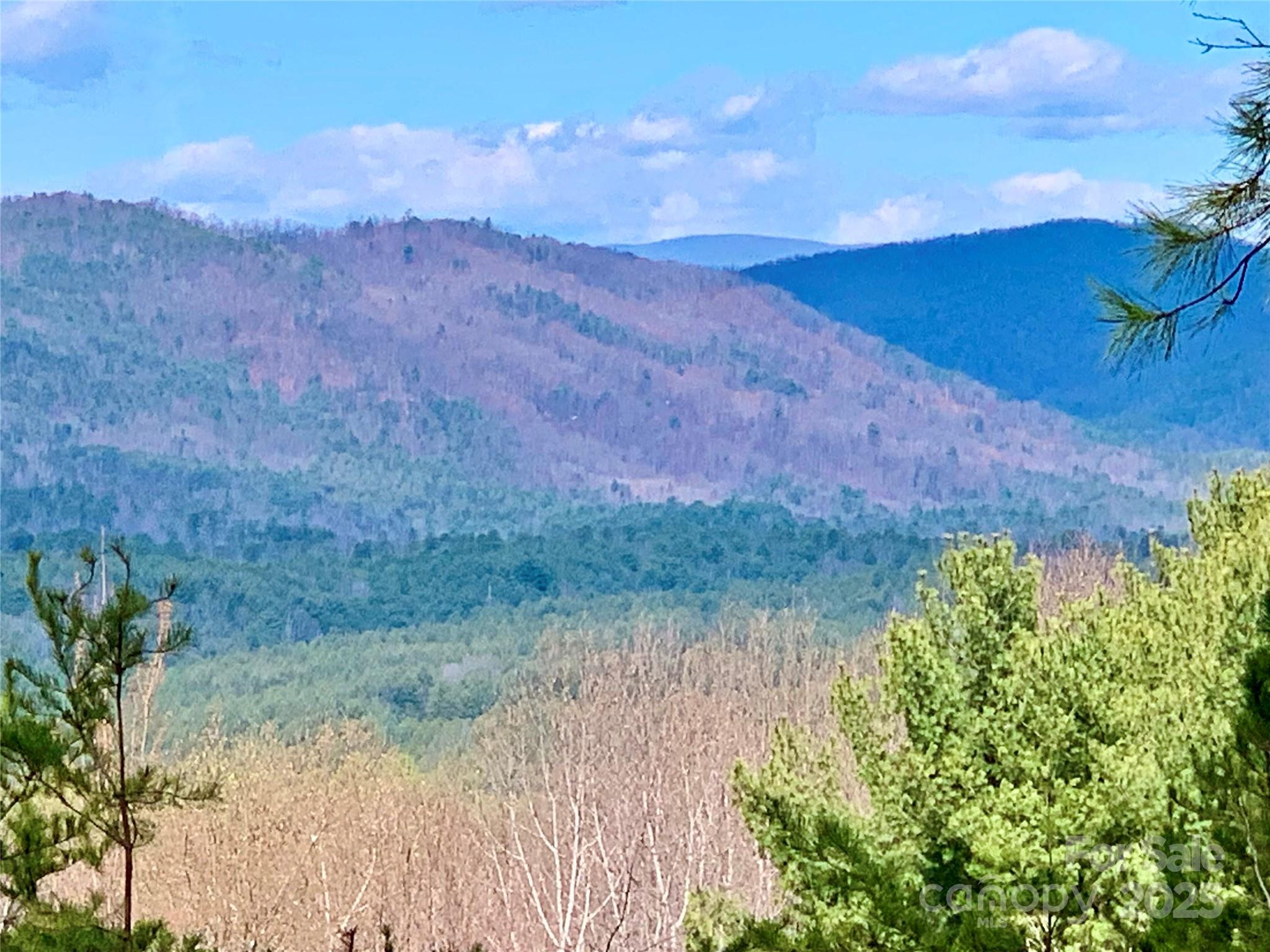 1.62 acres Lot 204B Johns Ridge Parkway Lot 204B