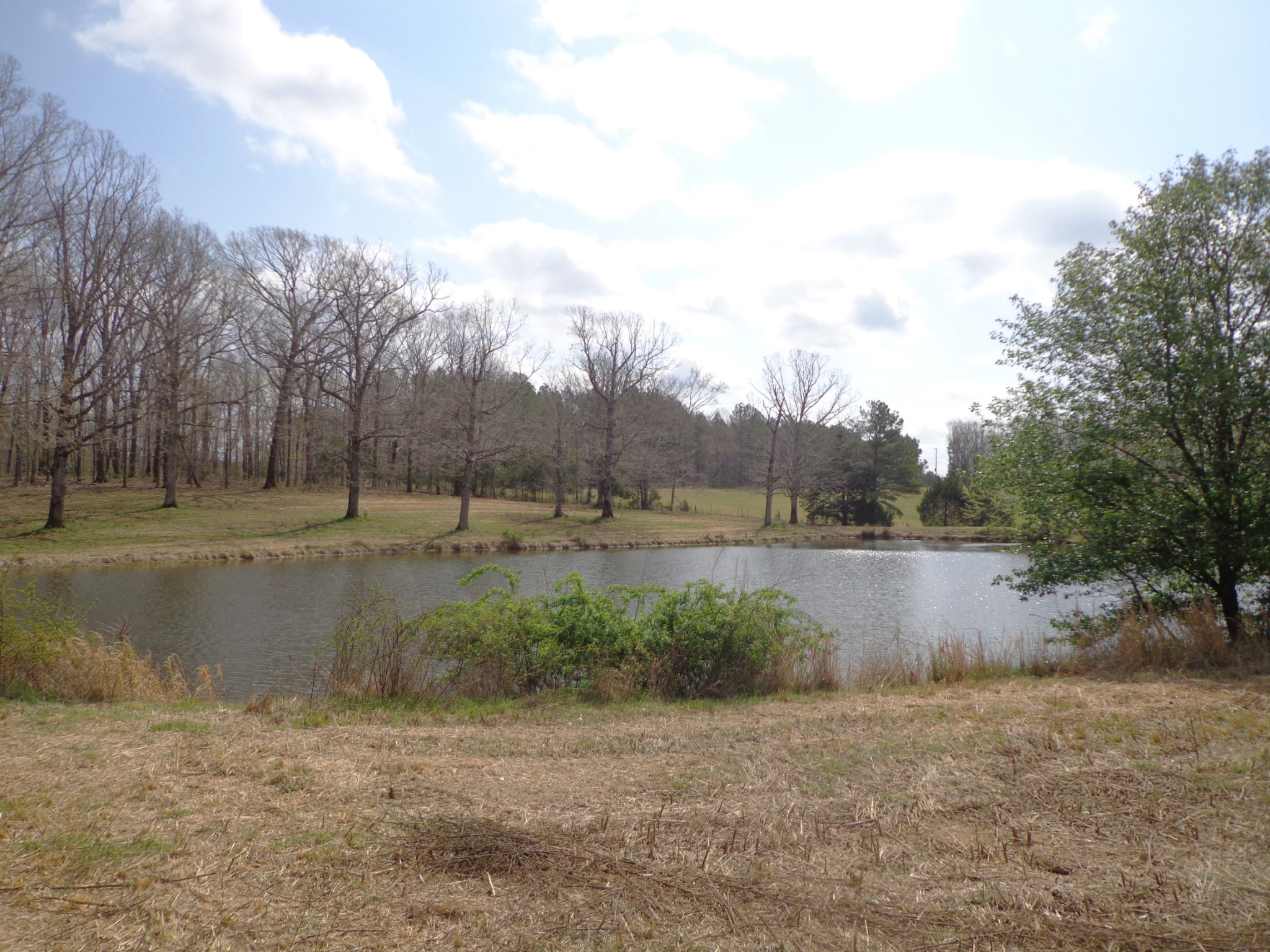 1551 Tennessee Ridge Road