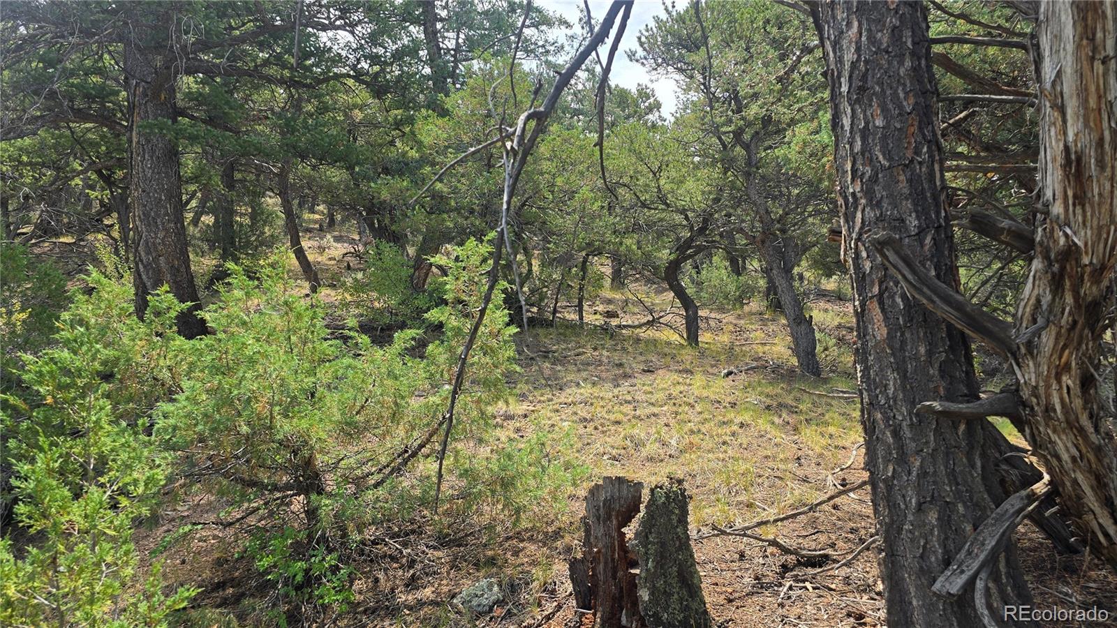 Lot 7892 Tiernan Road