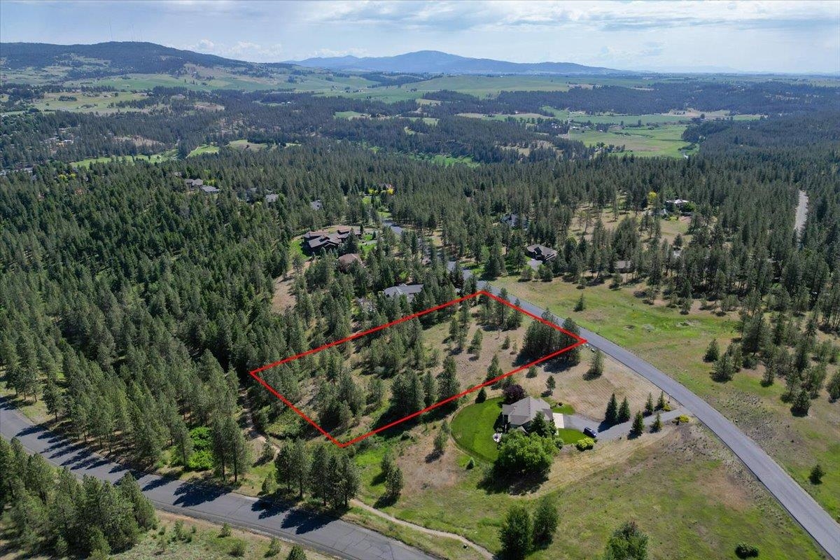 1305 E Wildflower Ln