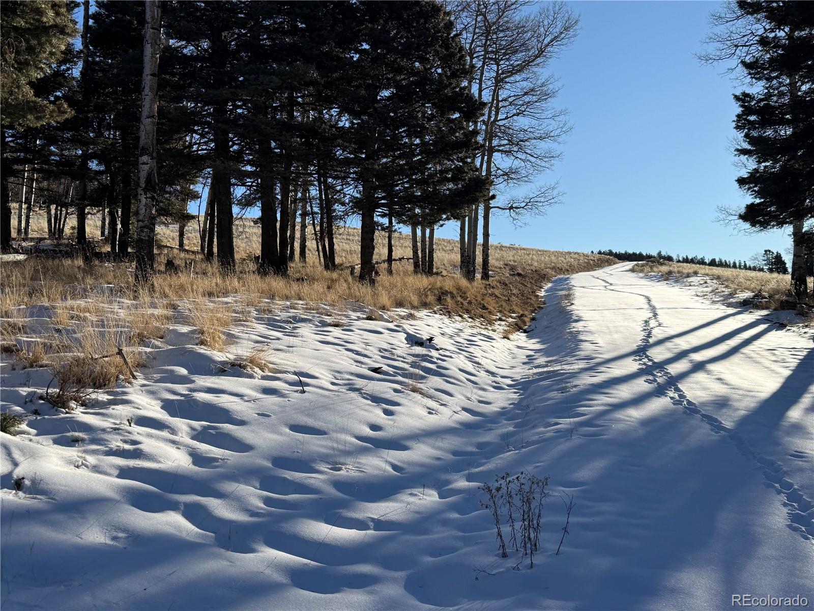 Lot 499 Collinson Drive