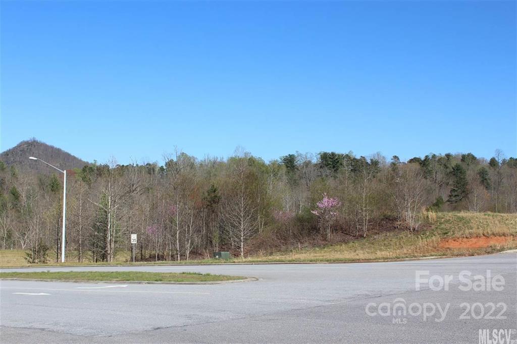 This is a large tract within the city limits of Lenoir and can be subdivided, Beautiful views, many building sites. Will sell all or part of the acreage.