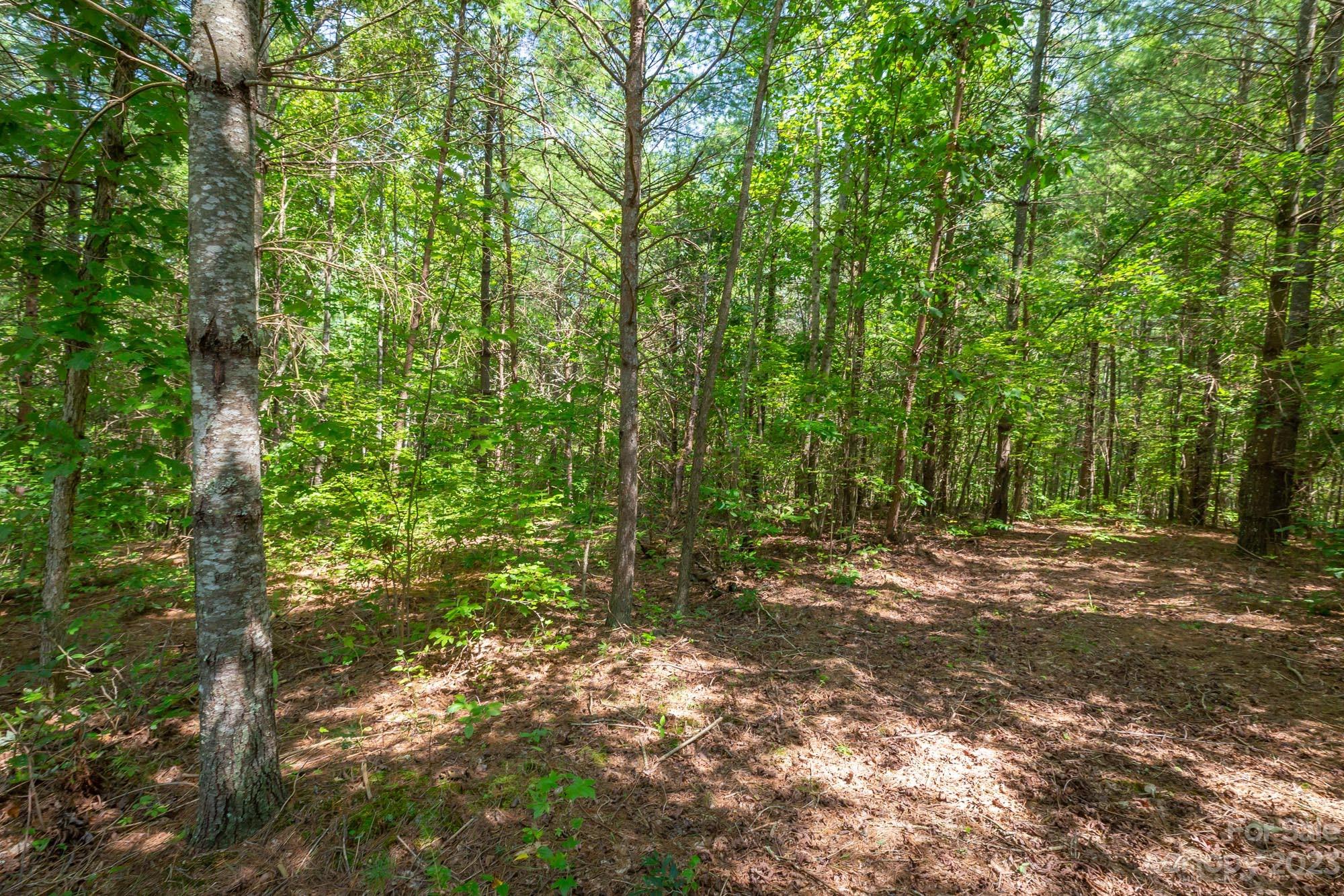 1119 Greene Court 37