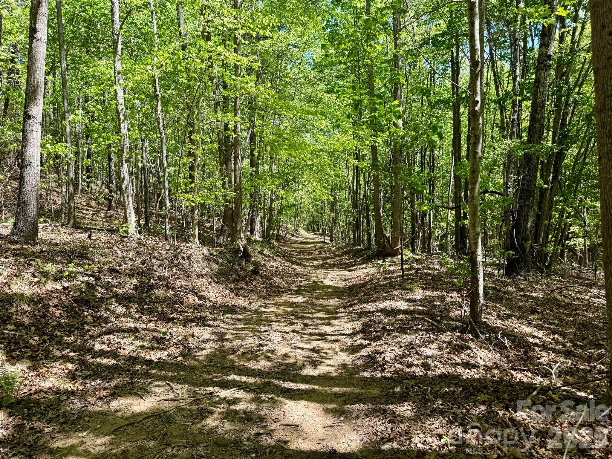Lot 488 Bella Vista Way 488