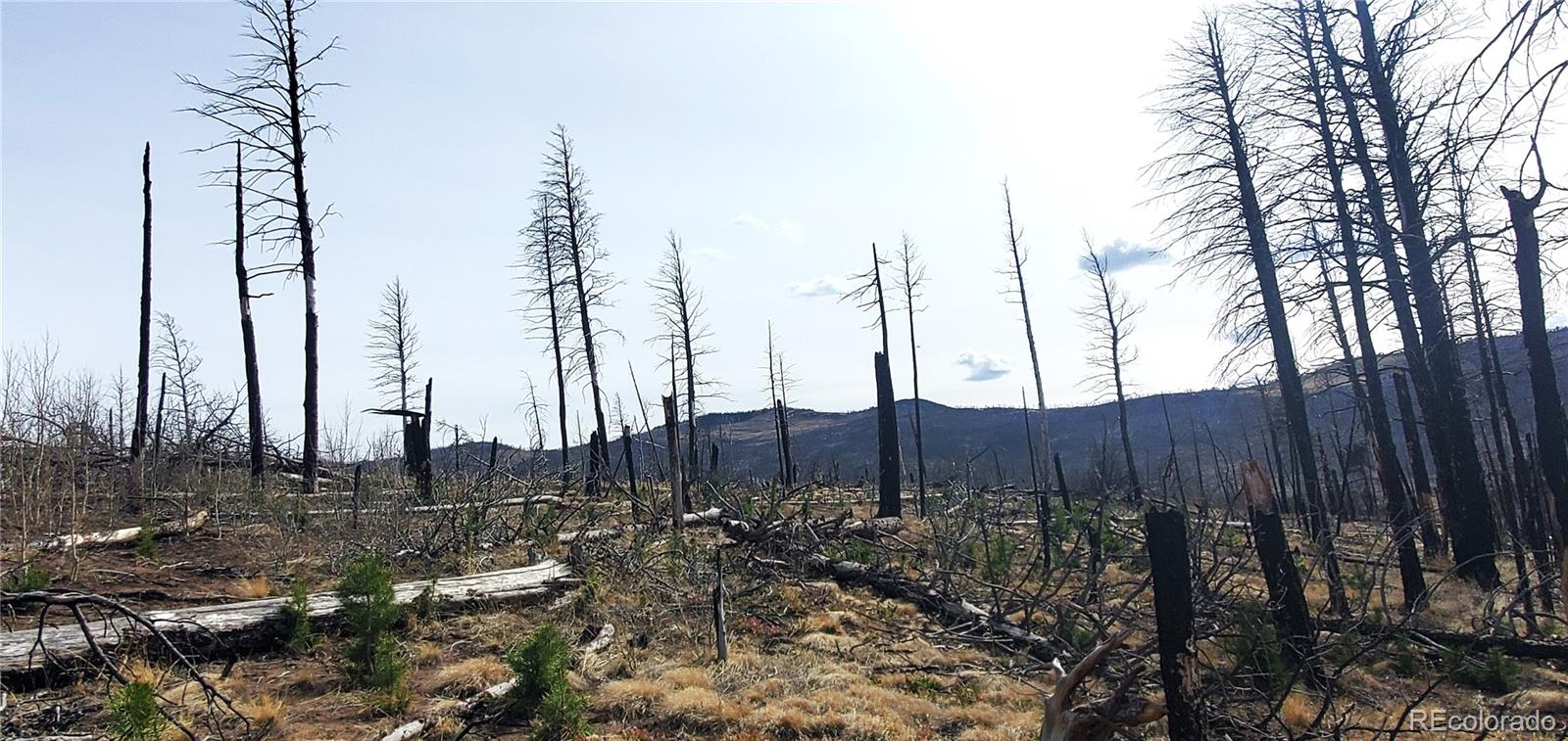 Lot 1224 Emery Loop