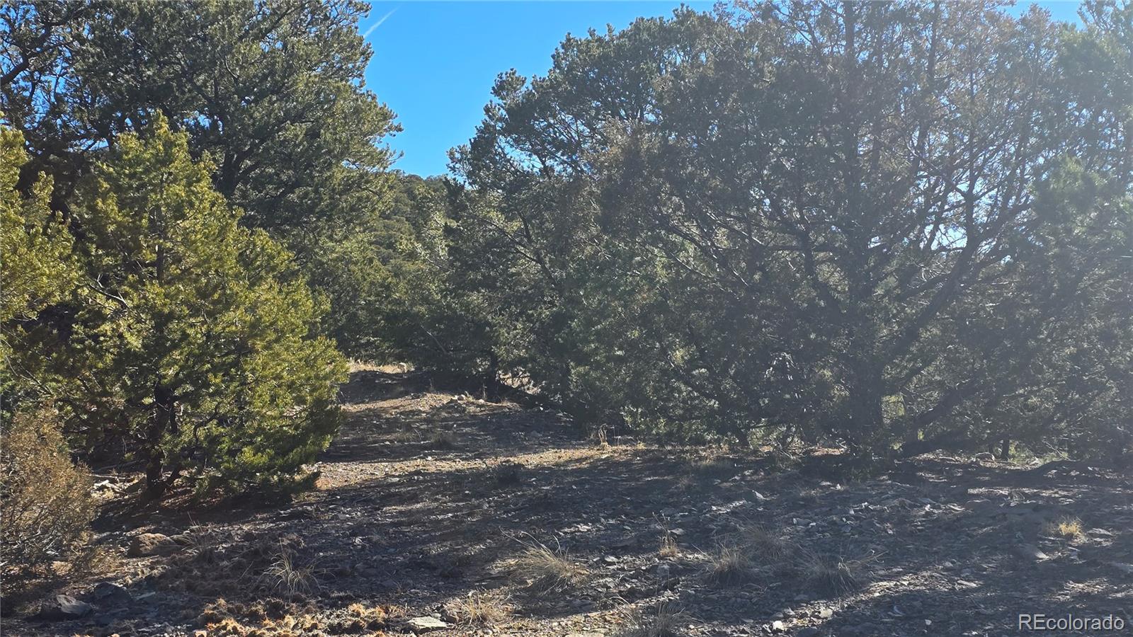 Lot 4510 Iannelli Road
