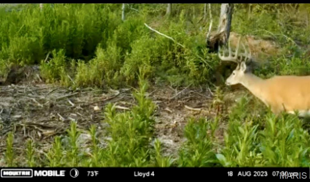 382 Furnace Creek Road