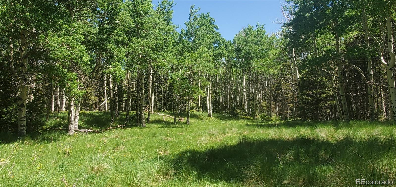 Lot 3085 Henderson Lane