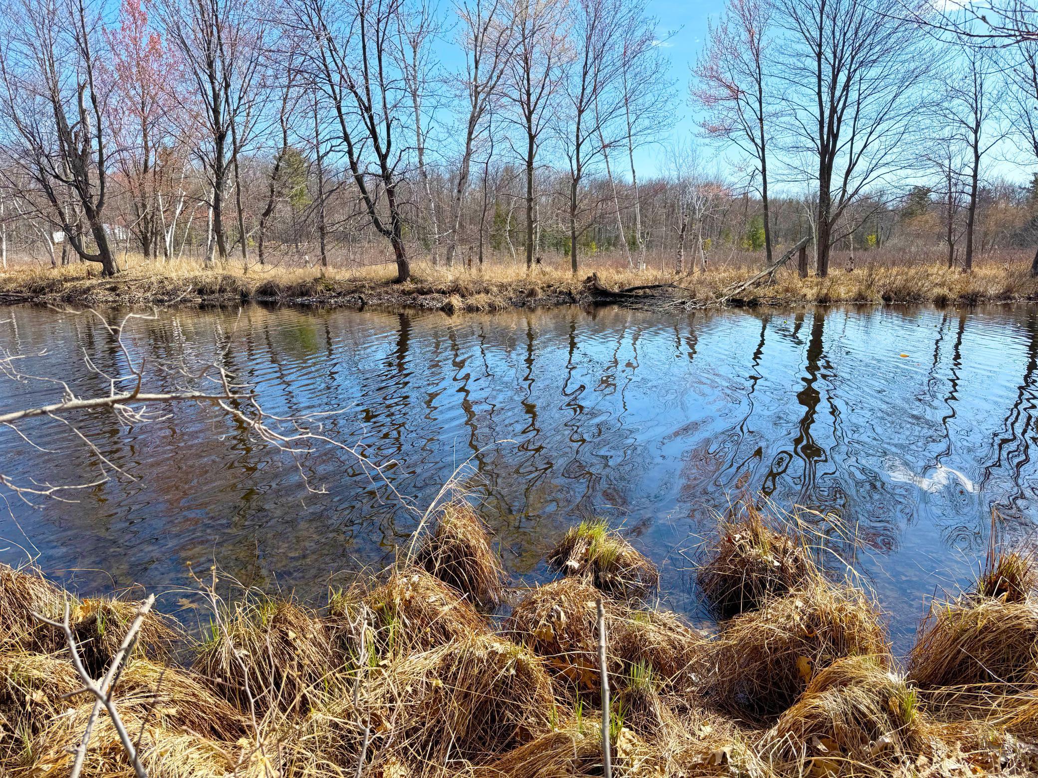 27XXX Greenwood Isle Circle