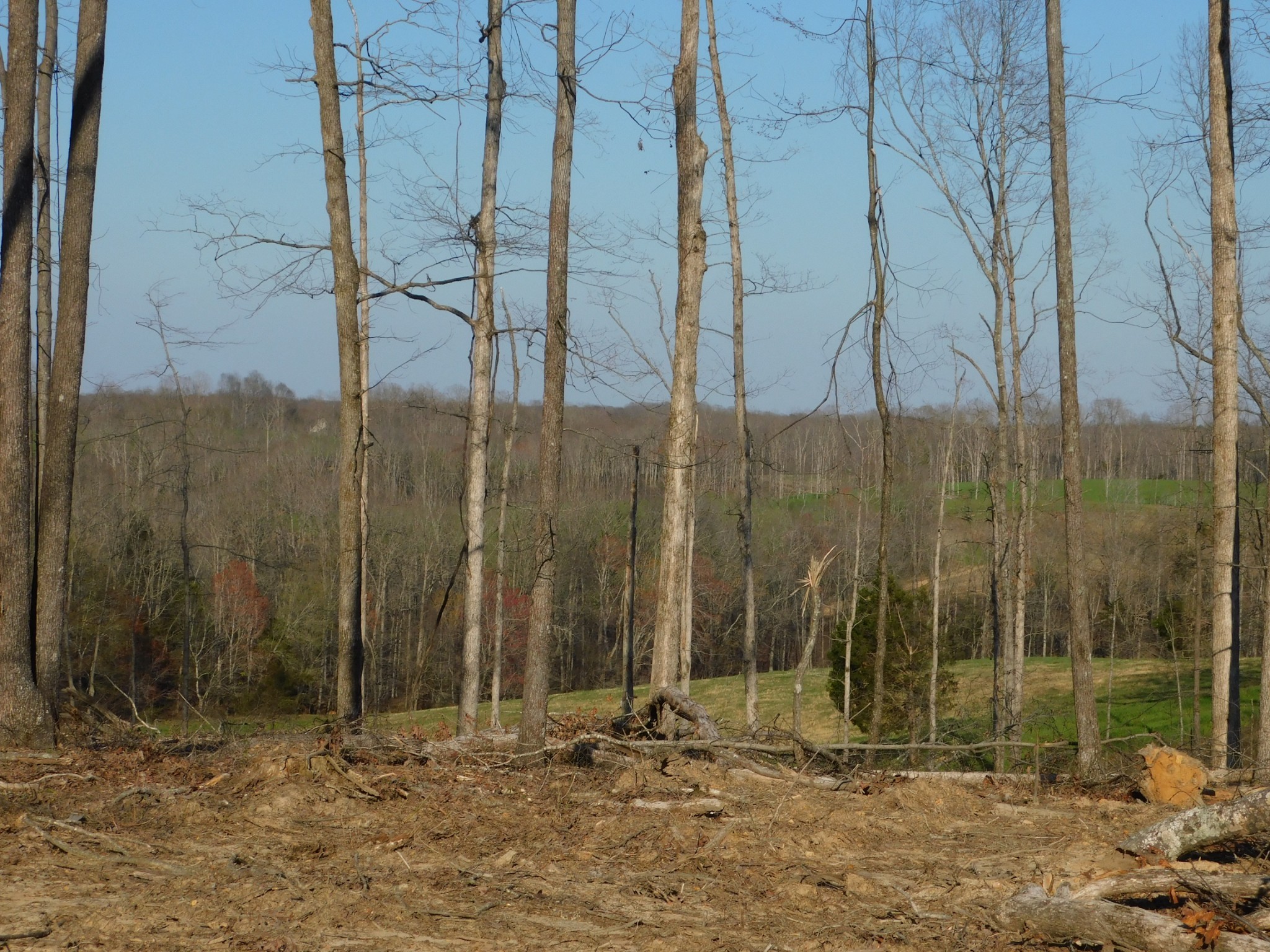 0 Lucas Ridge Road