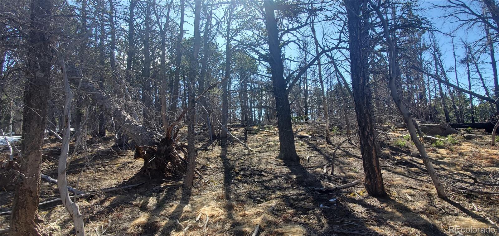Lot 2739 Newman Place