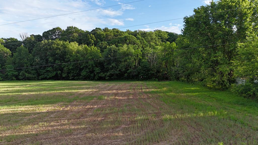 Nestled on 2 acres of level, usable land, this property offers a rare blend of peace, privacy, and possibility. Surrounded by the tranquility of nature and open farmland, it's the ideal canvas to bring your vision to life—whether it's building your dream home, creating a retreat, or starting a small homestead.  Enjoy the serenity of rural living while still being just minutes from the conveniences of town. If you've been searching for the perfect balance of country charm and modern accessibility, this is it.