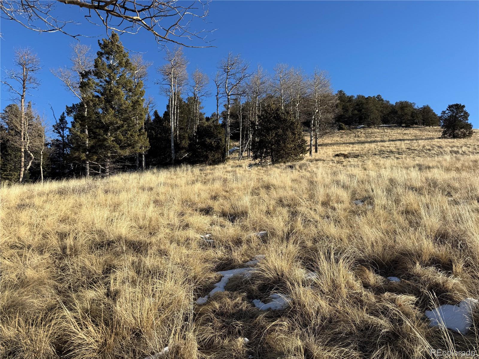 Lot 499 Collinson Drive
