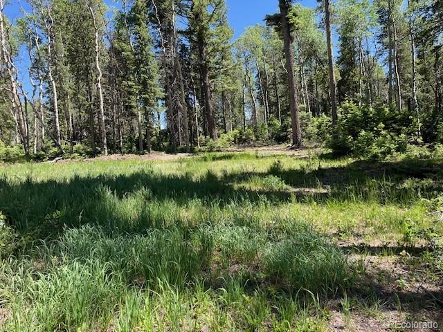 Lot 2449 Petito Drive