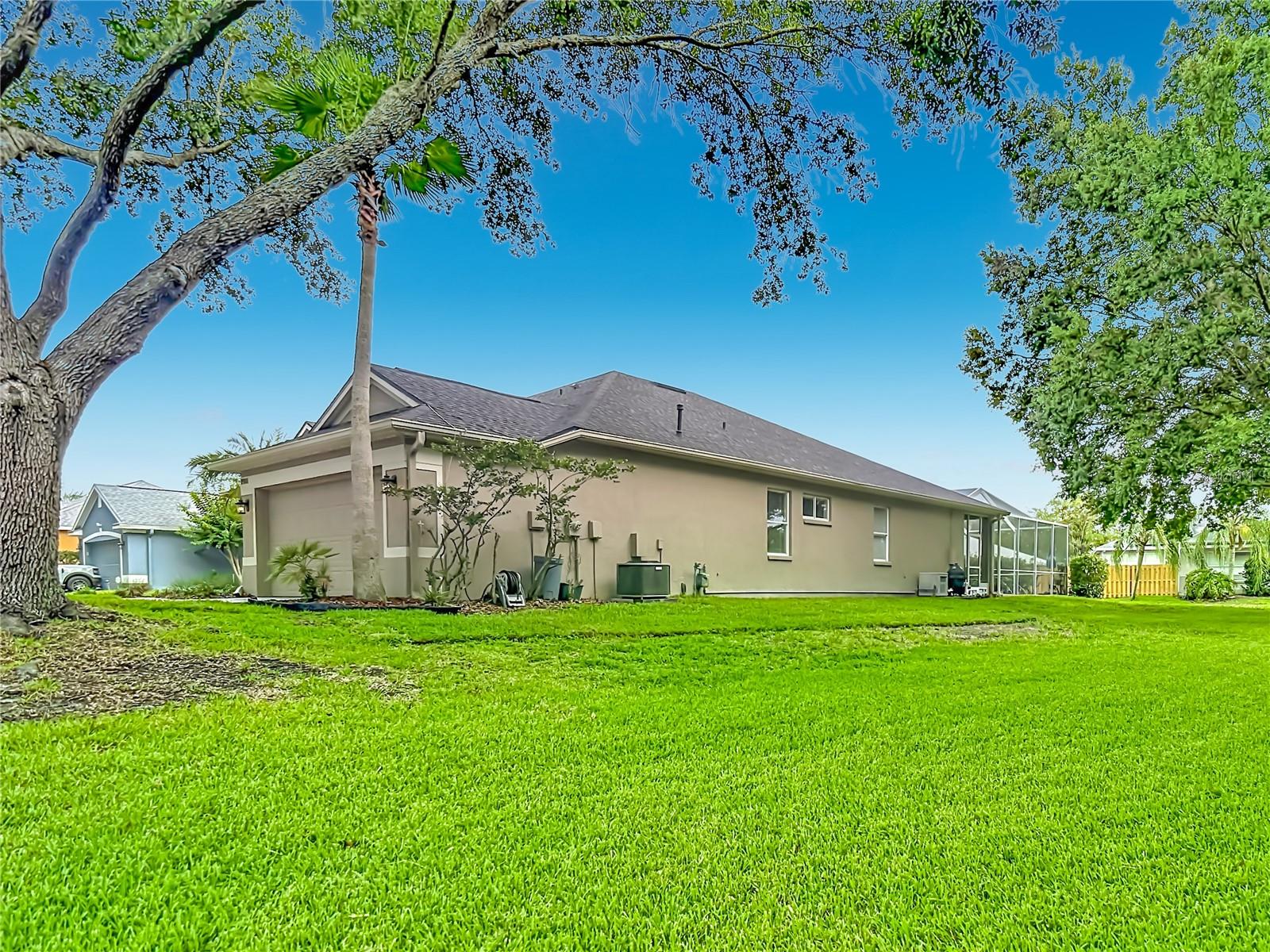 19101 Golden Cacoon Place