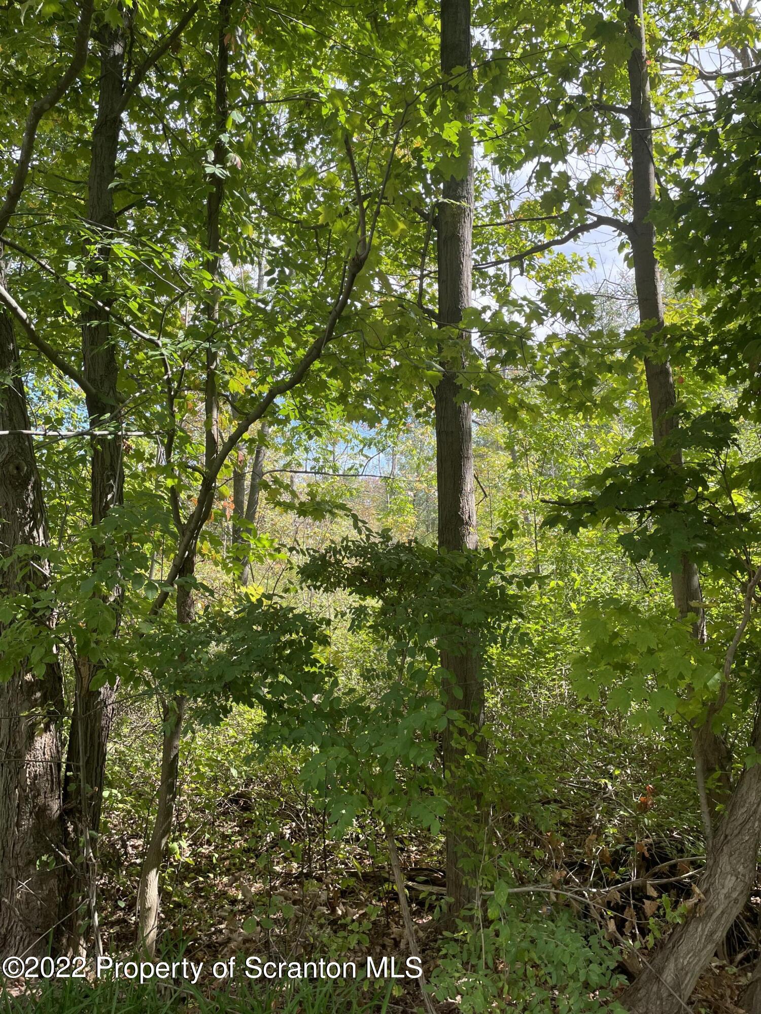 Griffin Pond Road