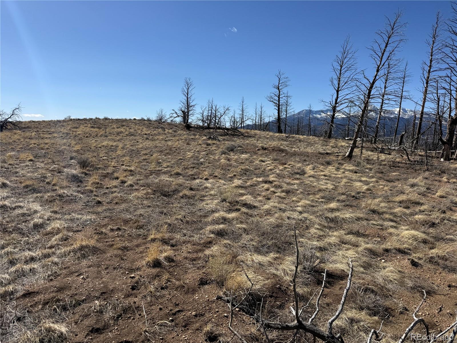 Lot 385 Soubry Place
