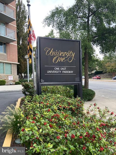 Come home to this stylish 2 BR, 2 BA condo, fully furnished with great features! Located in the heart of Charles Village and Johns Hopkins University.  Newly installed carpet throughout and a new stainless-steel refrigerator.   You'll enjoy the open floor plan with great natural light.   Open concept living/dining area with a great view of the city. Two large bedrooms with loads of closet space in both rooms.  All utilities included in the monthly condo fee.  Building has great amenities and includes 24-hour front desk service, secure key-fob entry, a rooftop pool, a fitness room, a lounge area, and laundry facilities.  Vending machines in the bldg offer an added convenience.  There's also parking garage space for an added fee.  Just minutes away from Johns Hopkins University (Homewood Campus).  Great income potential for owner/investor. This property is also listed for rent.