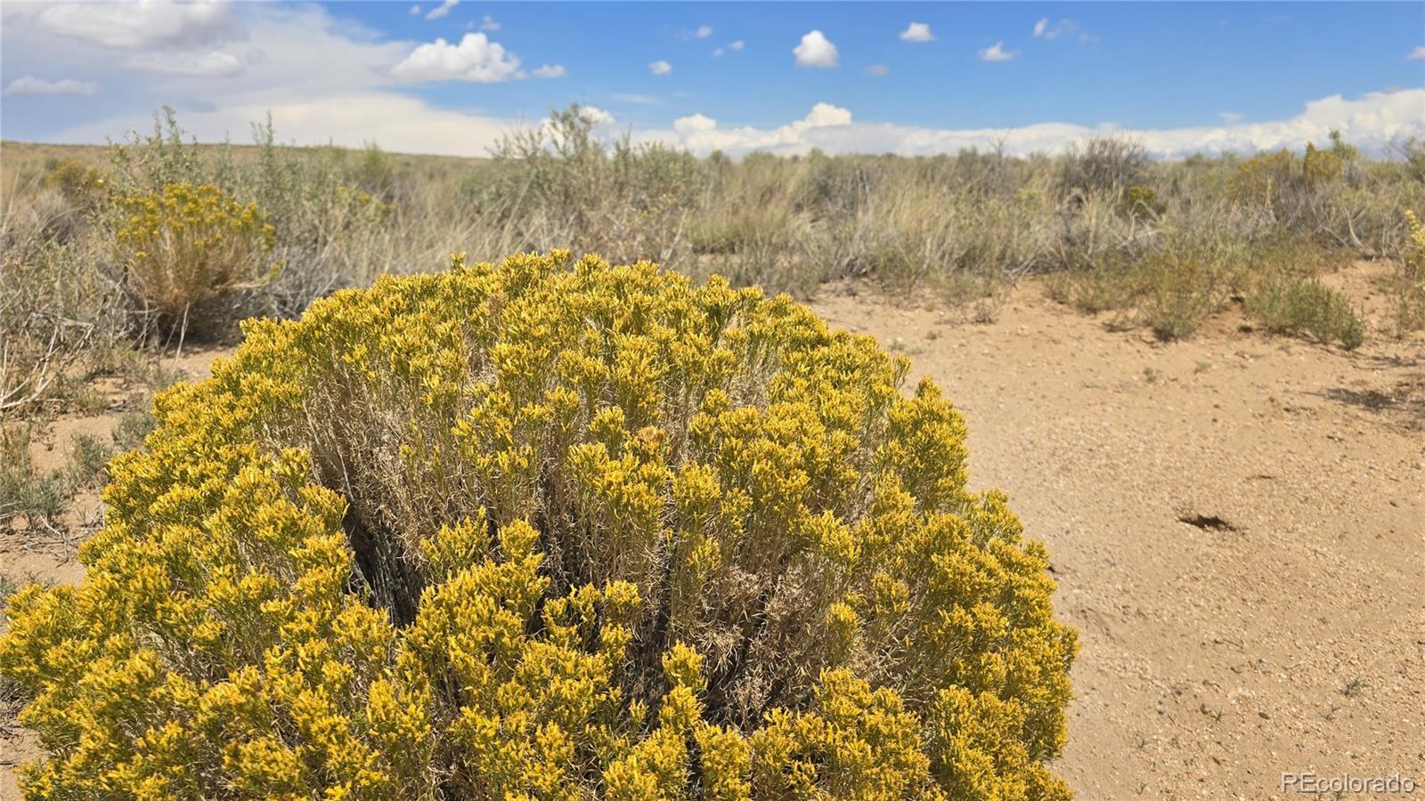 Lot 115 Osage Trail