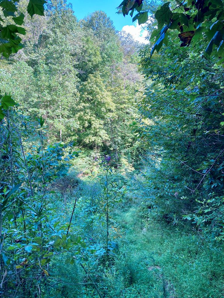 392 Possum Hollow Rd