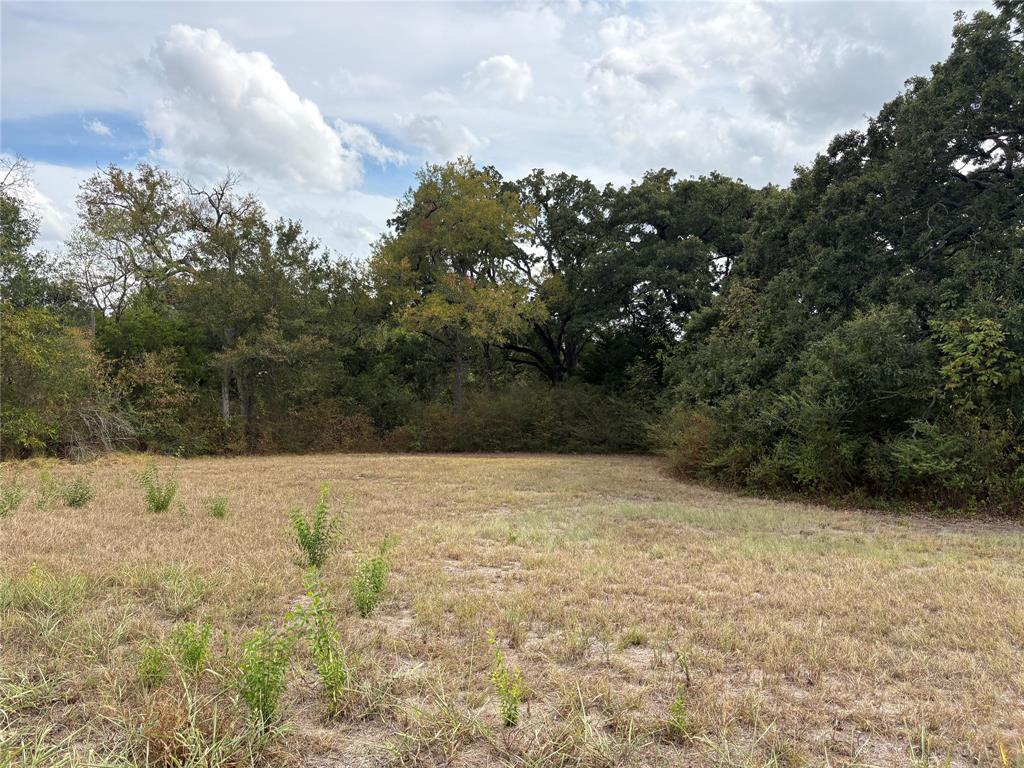 Here is a hard to find large lot with unlimited opportunities. Over half acre (.699) lot with huge Oak shade trees in a quiet location. Utilities nearby. This diamond in the rough  and is ready for the new owner to make it shine. Possible opportunities of homesite, multifamily or investment. Buyers to verify all zoning, building restrictions with the city. New survey available.