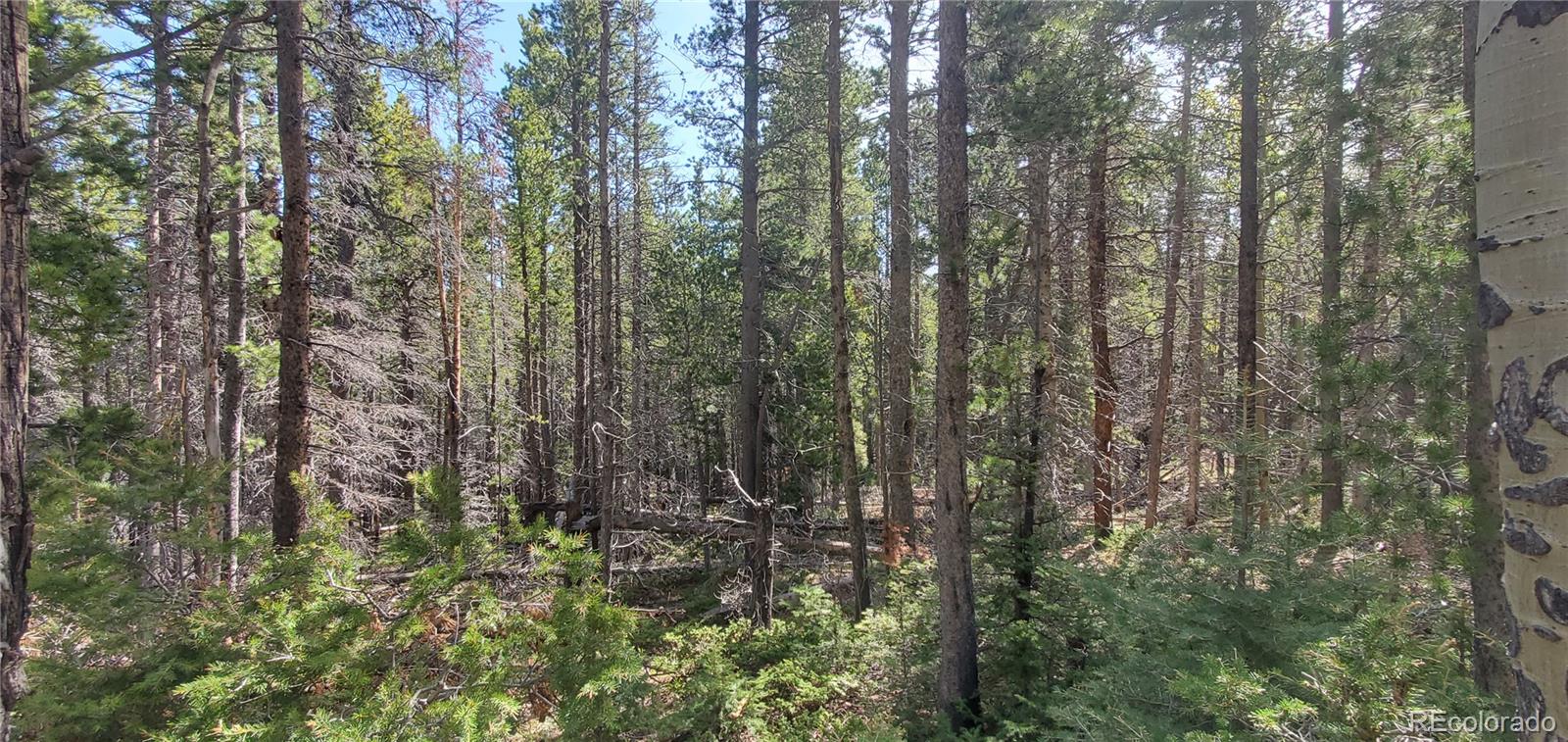 Lot 3031 Bolwell Lane