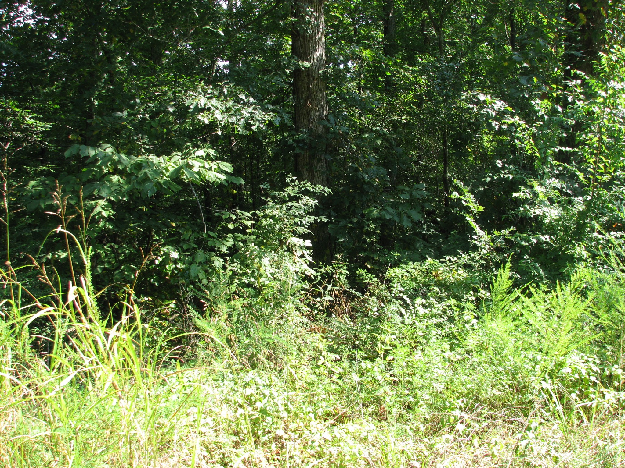 0 Sycamore Landing Rd