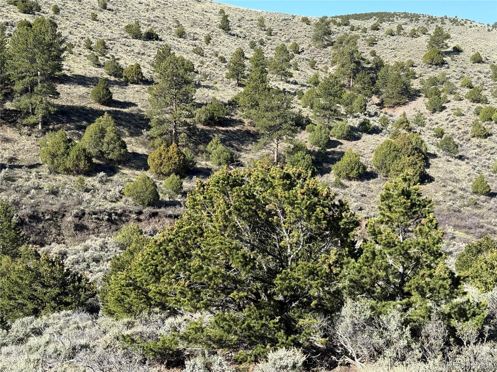 Lot 4918 Jaffe Road