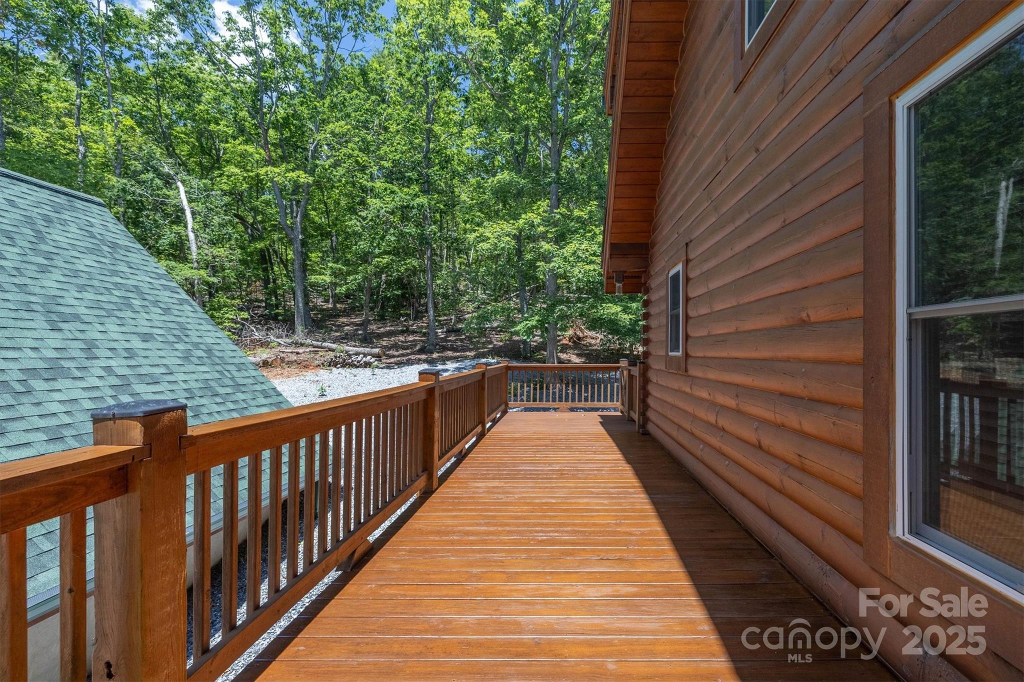 203 Mountain Vista Drive