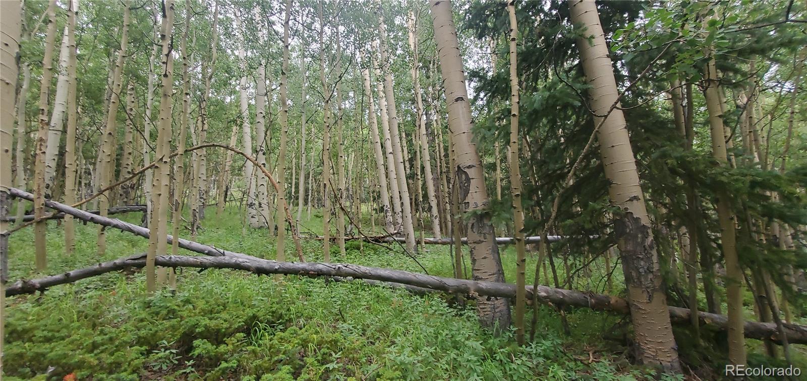 Lot 6882 Donna Road