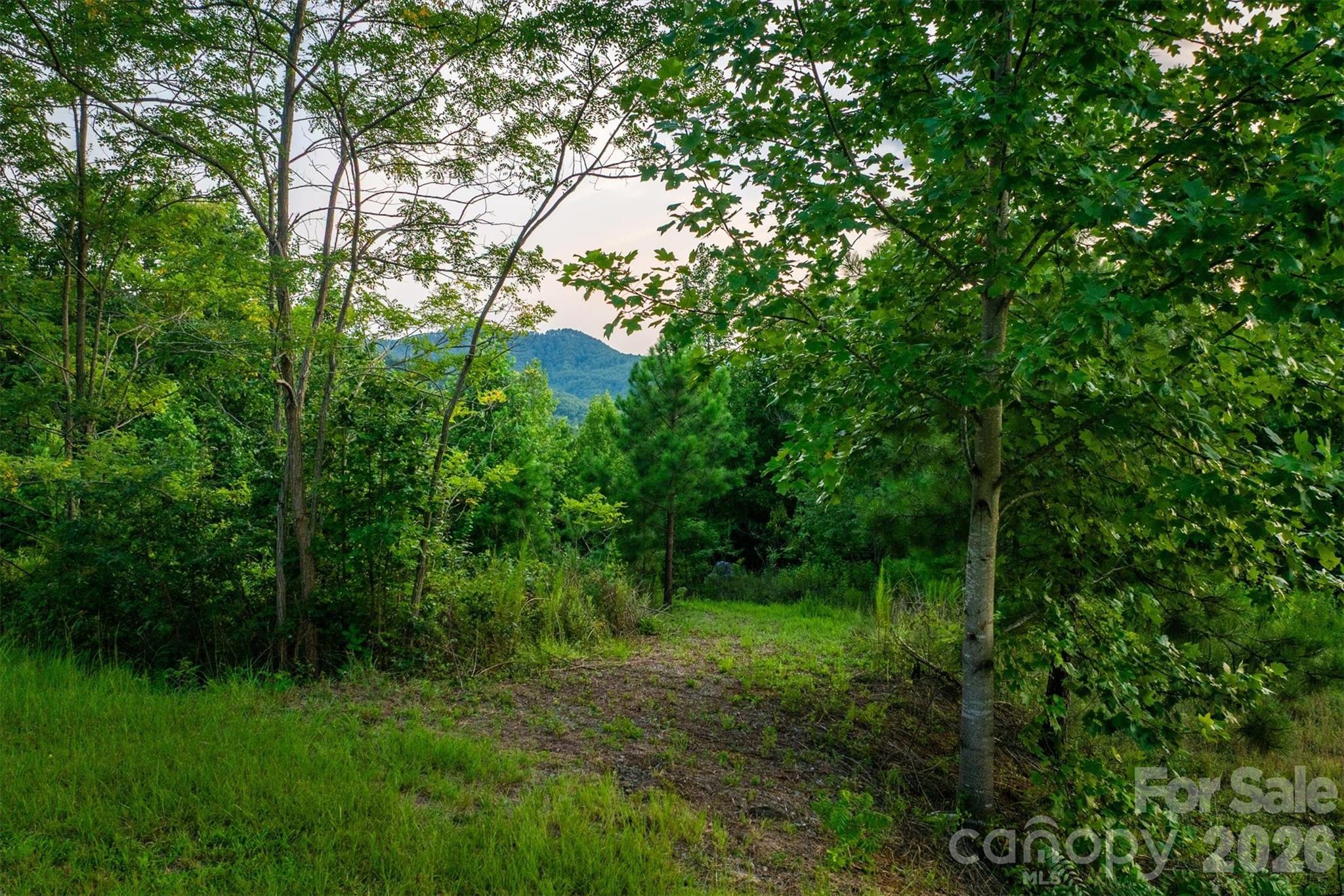 V/L Summit Trail 82