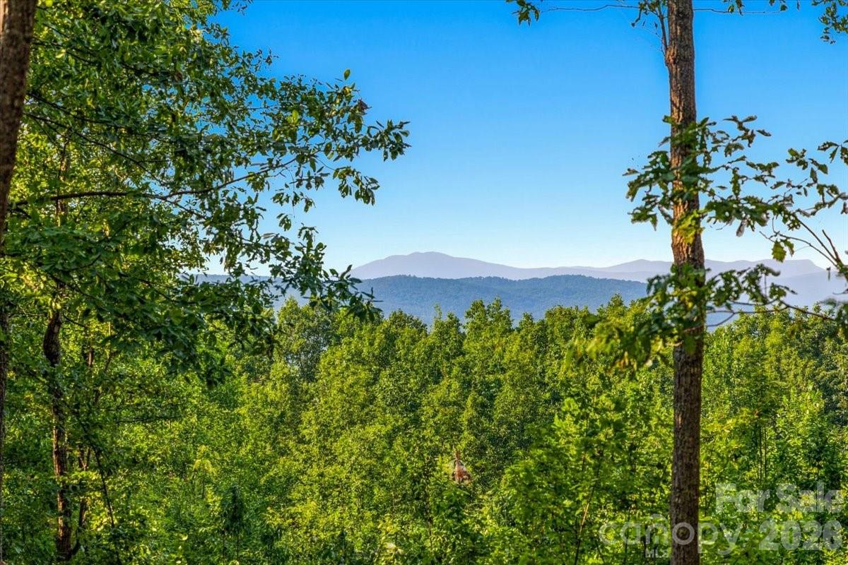 207 Mossy Oak Trail 166