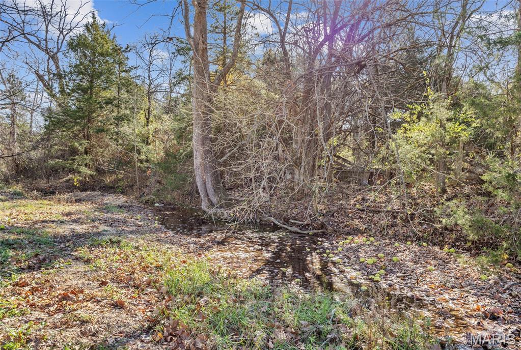 19632 State Highway Aa