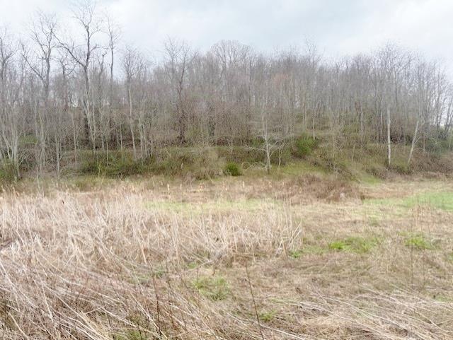 Two lots totaling 1.73 acres located just minutes from Rural Retreat Lake.
