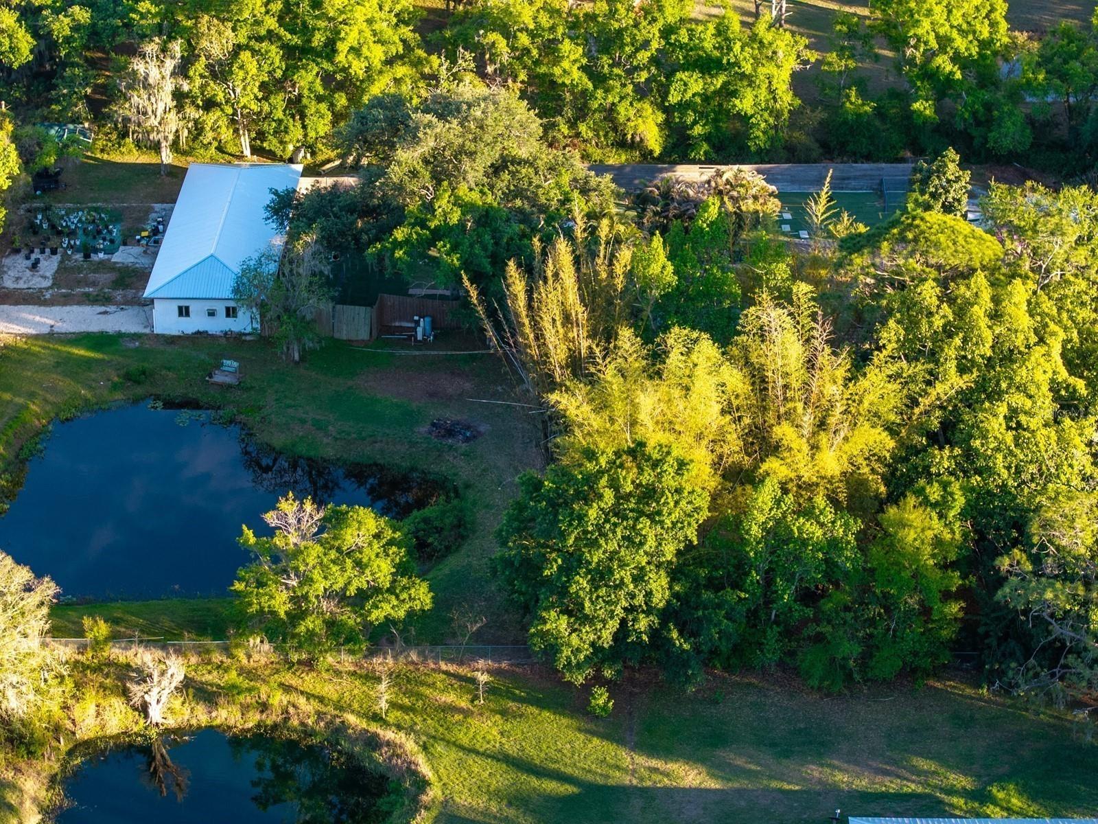 7311 Proctor Road