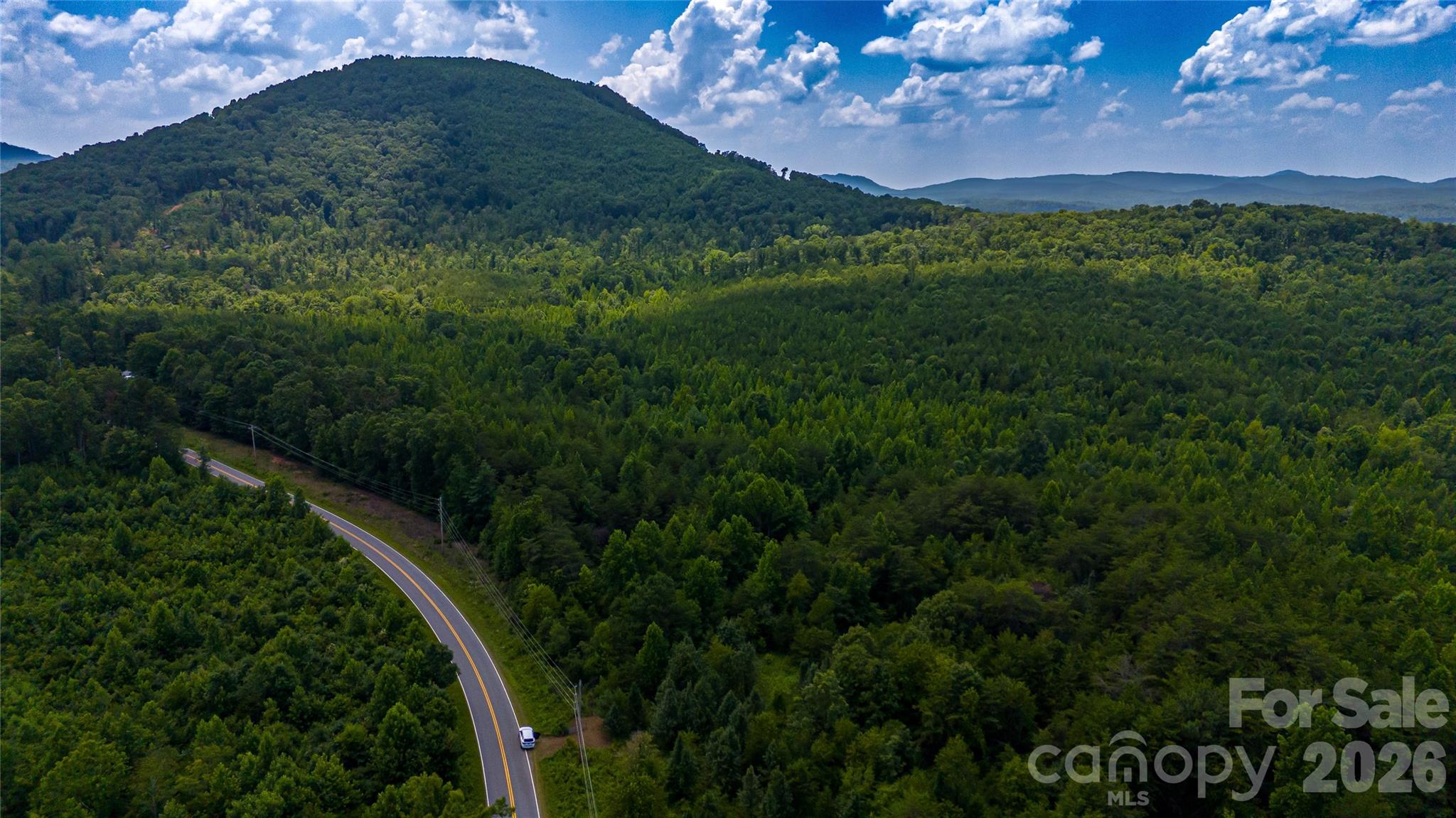 This exceptional 141.69-acre tract spanning both Burke and McDowell Counties presents a rare opportunity to own a large, undeveloped property in one of Western North Carolina's most desirable locations. Conveniently situated just minutes from Downtown Morganton and within an easy drive of Asheville and Tryon, this expansive property offers endless possibilities.Whether you're envisioning a private family estate, an equestrian retreat, a recreational getaway, or a thoughtfully planned residential development, this property has the space and versatility to bring your vision to life. With beautiful mountain views, multiple potential homesites, and the ability to subdivide, this is an outstanding investment opportunity in a rapidly growing area.This property will not be available long, schedule a private showing today.